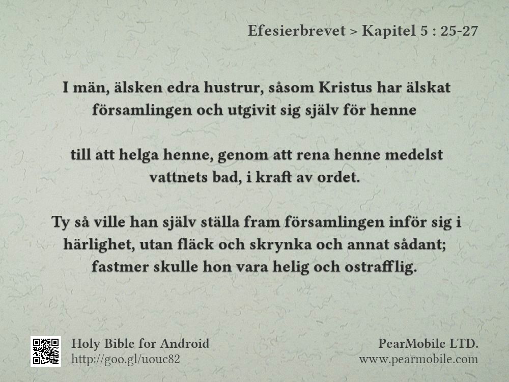 Efesierbrevet, Kapitel 5:25-27